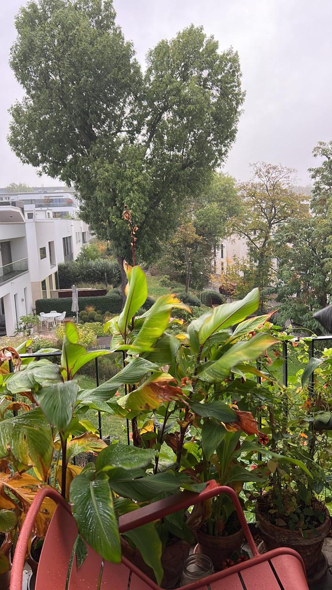 Barbarossa Suite Erfurt Dış mekan fotoğraf